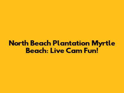 North Beach Plantation Myrtle Beach: Live Cam Fun!