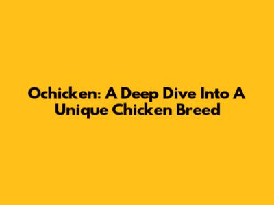 Ochicken: A Deep Dive Into A Unique Chicken Breed