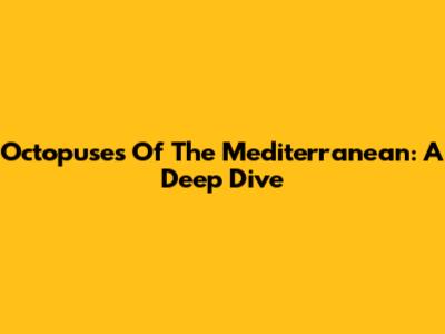 Octopuses Of The Mediterranean: A Deep Dive
