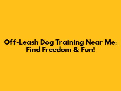 Off-Leash Dog Training Near Me: Find Freedom & Fun!