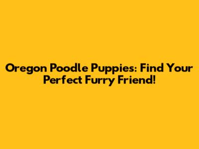 Oregon Poodle Puppies: Find Your Perfect Furry Friend!