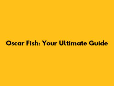 Oscar Fish: Your Ultimate Guide