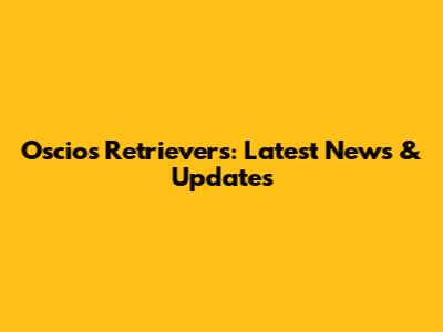 Oscio's Retrievers: Latest News & Updates