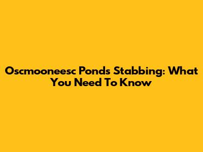 Oscmooneesc Ponds Stabbing: What You Need To Know