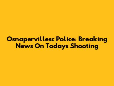 Osnapervillesc Police: Breaking News On Today's Shooting