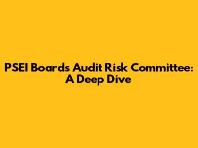 PSEI Board's Audit Risk Committee: A Deep Dive
