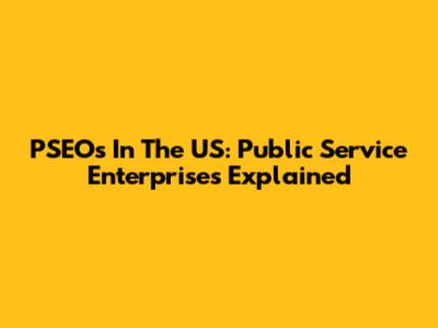 PSEOs In The US: Public Service Enterprises Explained