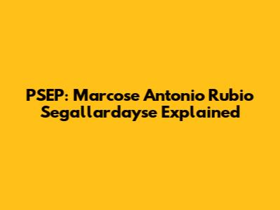 PSEP: Marcose Antonio Rubio Segallardayse Explained