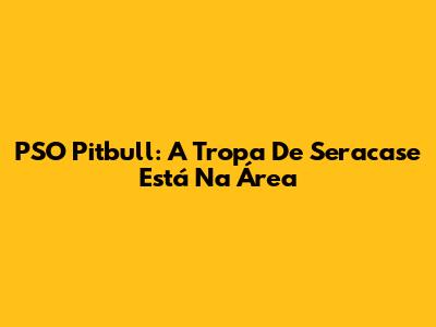 PSO Pitbull: A Tropa De Seracase Está Na Área