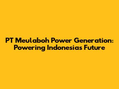 PT Meulaboh Power Generation: Powering Indonesia's Future