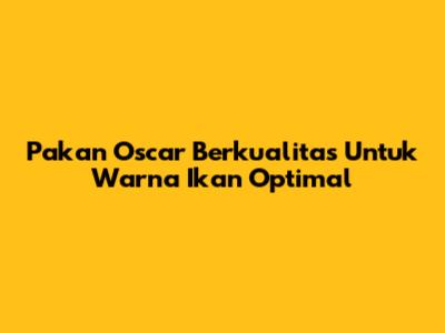 Pakan Oscar Berkualitas Untuk Warna Ikan Optimal