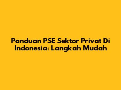 Panduan PSE Sektor Privat Di Indonesia: Langkah Mudah