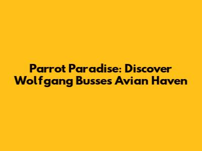 Parrot Paradise: Discover Wolfgang Busse's Avian Haven
