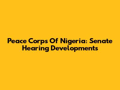 Peace Corps Of Nigeria: Senate Hearing Developments