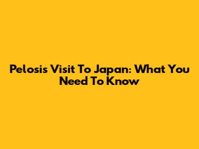 Pelosi's Visit To Japan: What You Need To Know