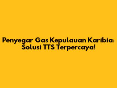 Penyegar Gas Kepulauan Karibia: Solusi TTS Terpercaya!