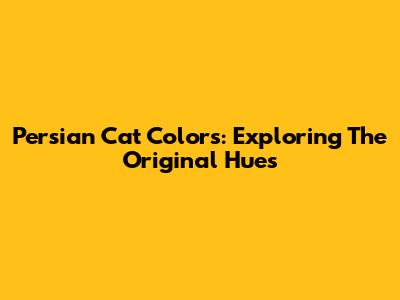 Persian Cat Colors: Exploring The Original Hues