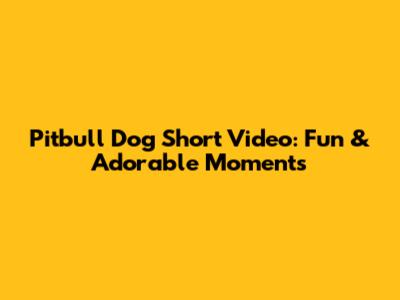 Pitbull Dog Short Video: Fun & Adorable Moments
