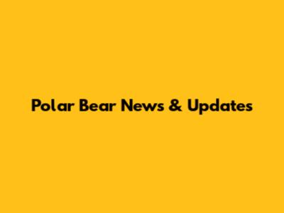 Polar Bear News & Updates