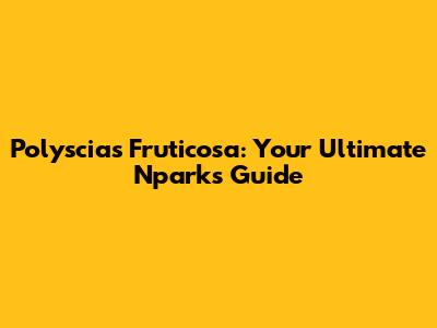Polyscias Fruticosa: Your Ultimate Nparks Guide