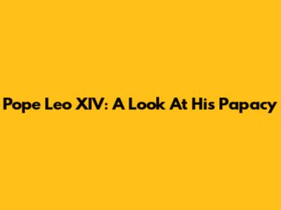Pope Leo XIV: A Look At His Papacy