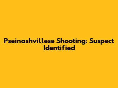 Pseinashvillese Shooting: Suspect Identified