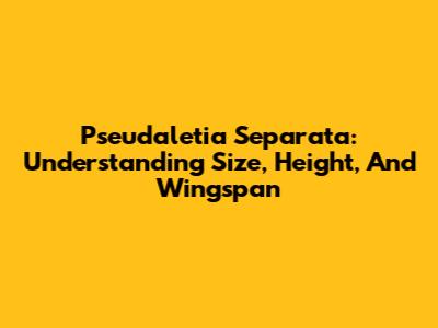 Pseudaletia Separata: Understanding Size, Height, And Wingspan