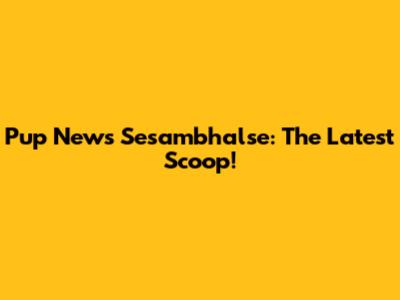 Pup News Sesambhalse: The Latest Scoop!