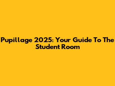Pupillage 2025: Your Guide To The Student Room