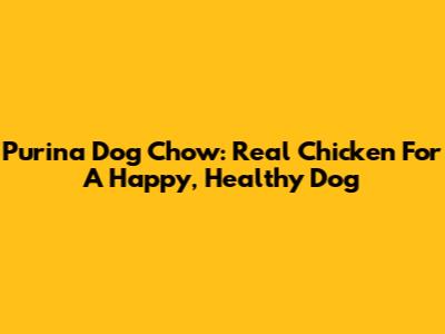 Purina Dog Chow: Real Chicken For A Happy, Healthy Dog