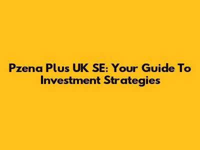 Pzena Plus UK SE: Your Guide To Investment Strategies