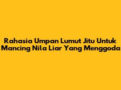 Rahasia Umpan Lumut Jitu Untuk Mancing Nila Liar Yang Menggoda