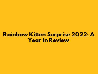 Rainbow Kitten Surprise 2022: A Year In Review