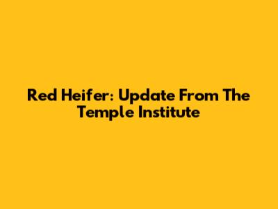 Red Heifer: Update From The Temple Institute