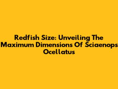 Redfish Size: Unveiling The Maximum Dimensions Of Sciaenops Ocellatus