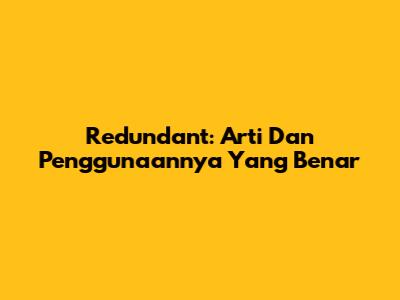 Redundant: Arti Dan Penggunaannya Yang Benar
