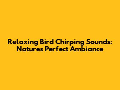 Relaxing Bird Chirping Sounds: Nature's Perfect Ambiance