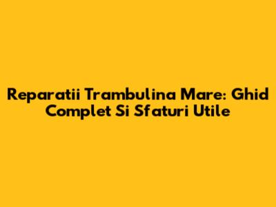 Reparatii Trambulina Mare: Ghid Complet Si Sfaturi Utile