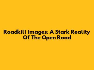 Roadkill Images: A Stark Reality Of The Open Road