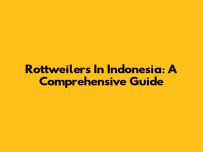 Rottweilers In Indonesia: A Comprehensive Guide