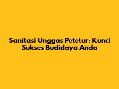 Sanitasi Unggas Petelur: Kunci Sukses Budidaya Anda