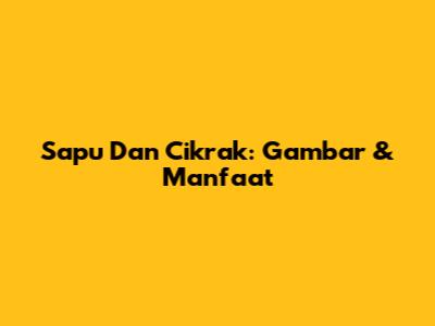 Sapu Dan Cikrak: Gambar & Manfaat