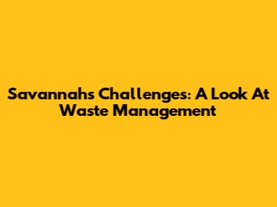 Savannah's Challenges: A Look At Waste Management