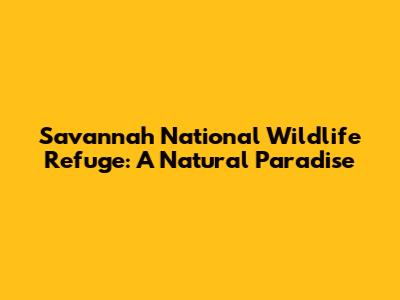 Savannah National Wildlife Refuge: A Natural Paradise