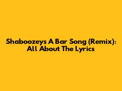 Shaboozey's 'A Bar Song (Remix)': All About The Lyrics