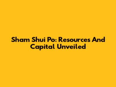 Sham Shui Po: Resources And Capital Unveiled