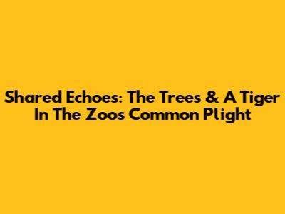 Shared Echoes: The Trees & A Tiger In The Zoo's Common Plight