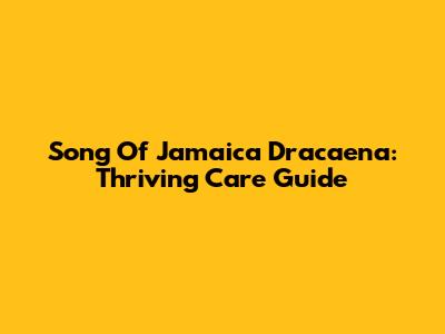 Song Of Jamaica Dracaena: Thriving Care Guide