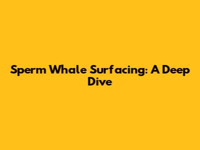 Sperm Whale Surfacing: A Deep Dive