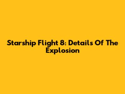 Starship Flight 8: Details Of The Explosion